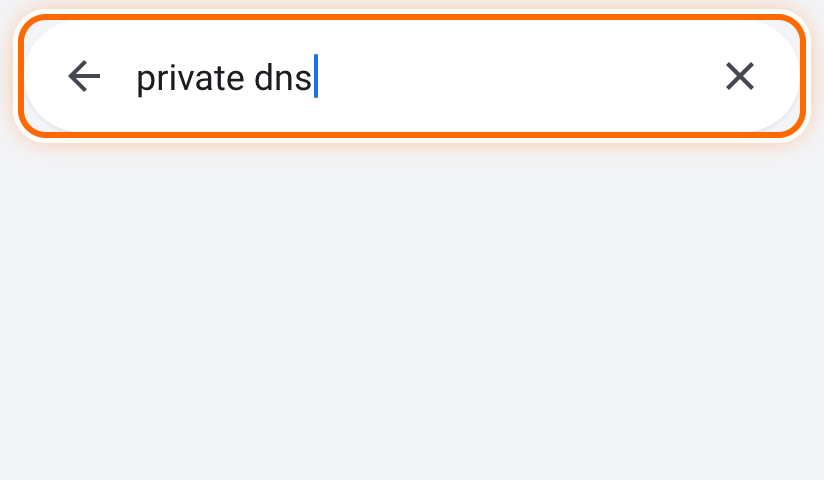 private dns typed in the search bar