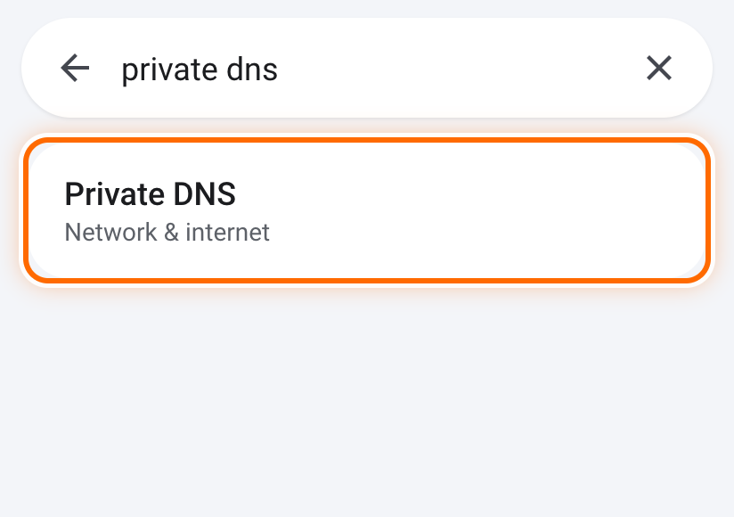 The Private DNS result circled