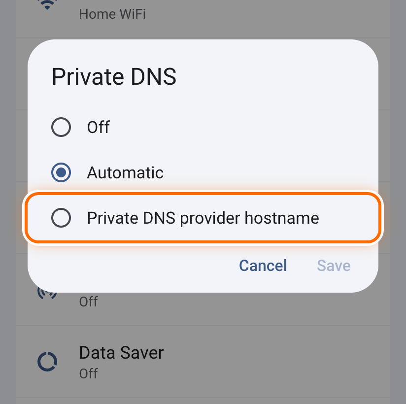 Private DNS options with Private DNS provider hostname circled