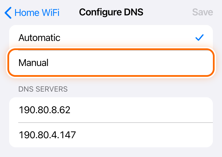 Configure DNS screen with Manual circled
